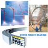 CRBF8022AD Crossed roller bearings with mounting holes