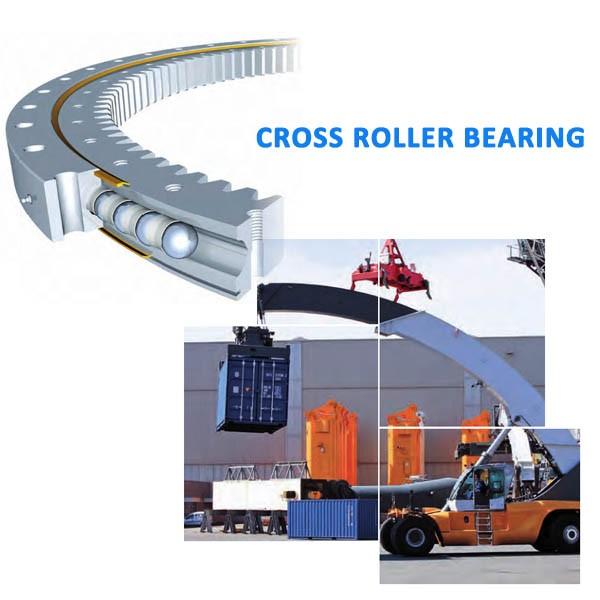 SX011868 Cross Cylindrical Roller Bearing INA Structure #2 image